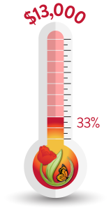 Thermometer showing we raised 33 percent of our 13,000 dollar annual appeal goal