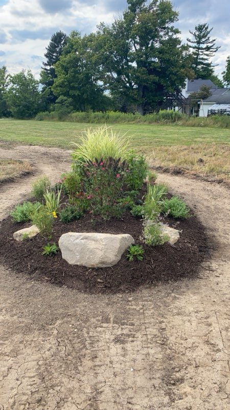 the garden as a work in progress