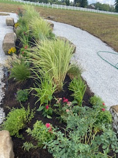 large rocks, tall grasses, and bushy flowering plants