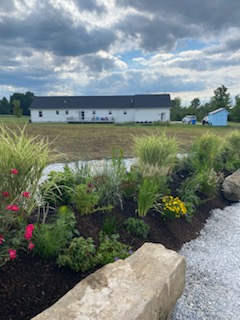 view of the garden looking towards the house